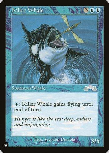 Baleia Assassina / Killer Whale