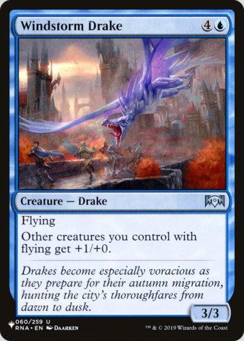 Dragonete do Vendaval / Windstorm Drake