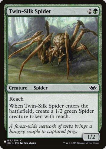 Aranha da Seda Dupla / Twin-Silk Spider