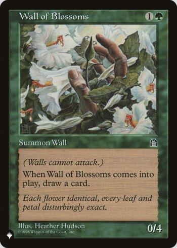 Barreira de Flores / Wall of Blossoms