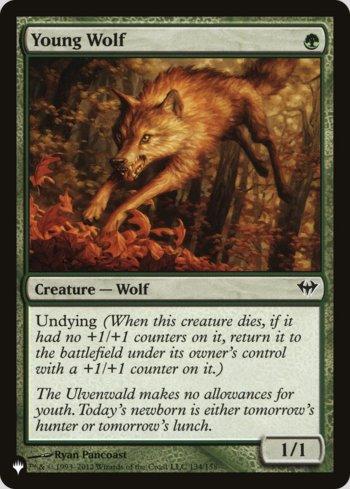 Lobo Jovem / Young Wolf