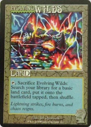 Terras em Desenvolvimento / Evolving Wilds