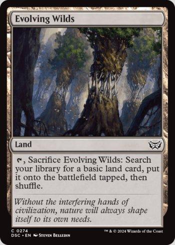 Terras em Desenvolvimento / Evolving Wilds