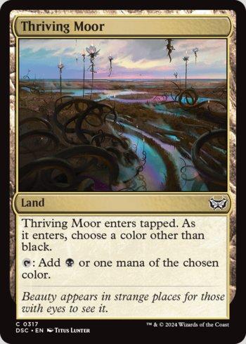 Charco Vicejante / Thriving Moor
