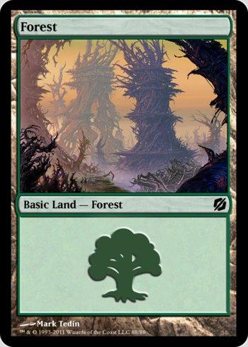 Floresta (#88) / Forest (#88)