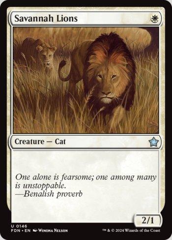 Leões da Savana / Savannah Lions
