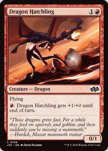 Cria de Dragão / Dragon Hatchling