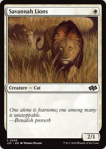 Leões da Savana / Savannah Lions