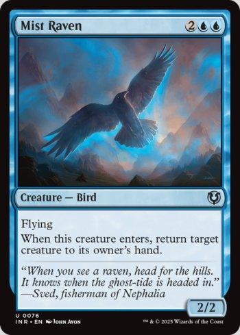 Corvo das Brumas / Mist Raven