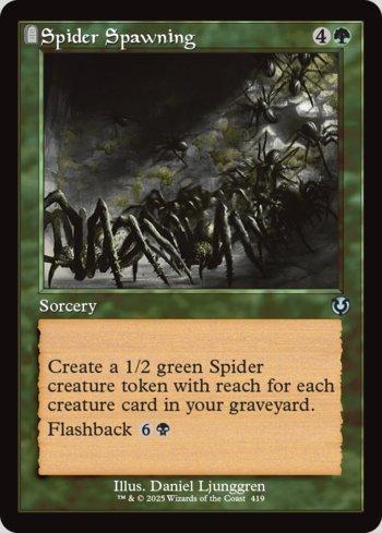 Procriação de Aranha / Spider Spawning