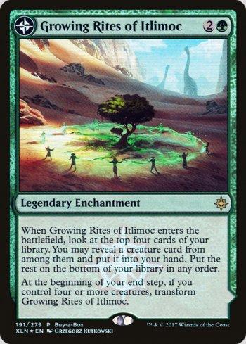 Ritos de Crescimento de Itlimoc / Growing Rites of Itlimoc