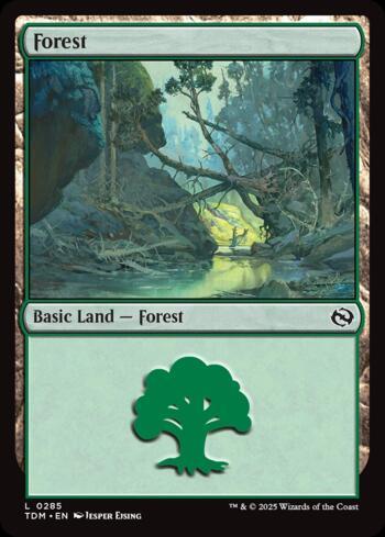 Floresta (#285) / Forest (#285)