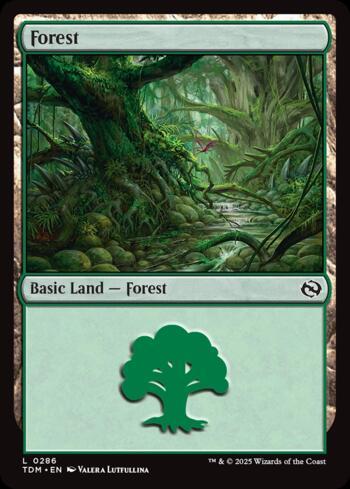 Floresta (#286) / Forest (#286)