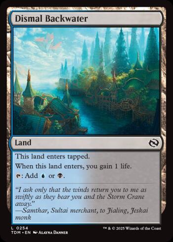 Remanso Funesto / Dismal Backwater