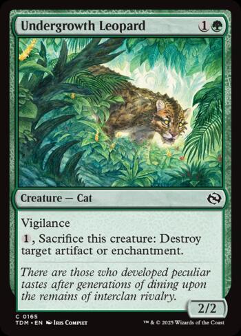 Leopardo da Submata / Undergrowth Leopard