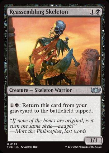 Esqueleto Remontado / Reassembling Skeleton