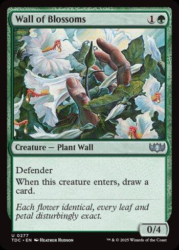 Barreira de Flores / Wall of Blossoms
