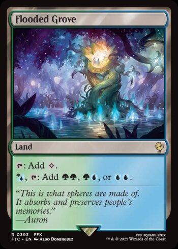 Bosque Alagado / Flooded Grove