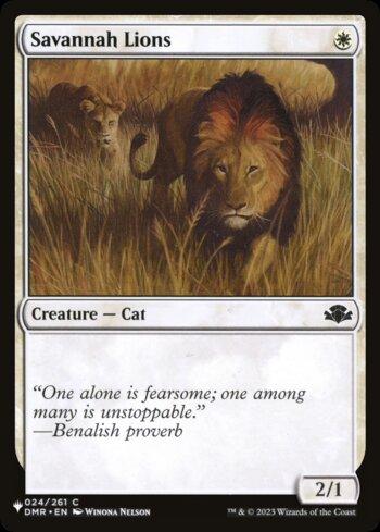 Leões da Savana / Savannah Lions