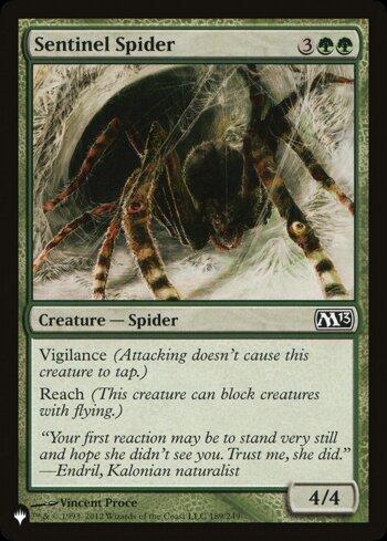 Aranha Sentinela / Sentinel Spider