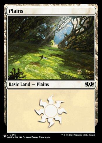 Planície (#267) / Plains (#267)