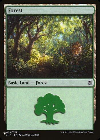 Floresta (#74) / Forest (#74)