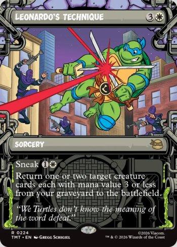 Teenage Mutant Ninja Turtles (Sewer Frame) | LigaMagic