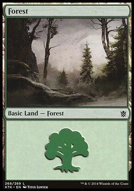 Floresta (#268) / Forest (#268)