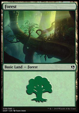 Floresta (#38) / Forest (#38)