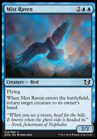 Corvo das Brumas / Mist Raven