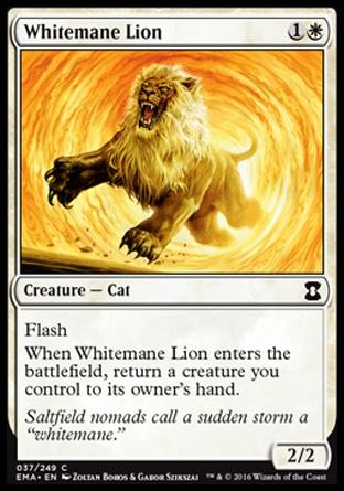 Leão de Juba Branca / Whitemane Lion