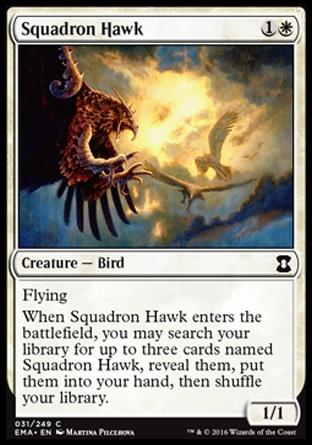 Falcão do Esquadrão / Squadron Hawk