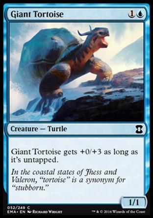 Tartaruga Gigante / Giant Tortoise