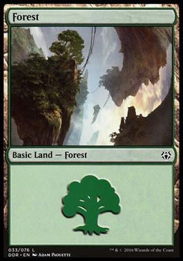 Floresta (#33) / Forest (#33)