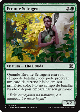 Errante Selvagem / Wild Wanderer