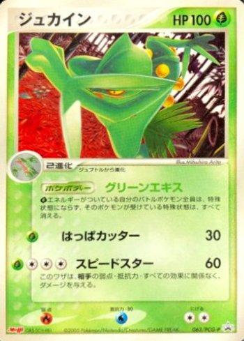 Sceptile, Tempestade Celestial