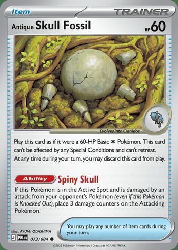 73 / 120 - Antique Skull Fossil