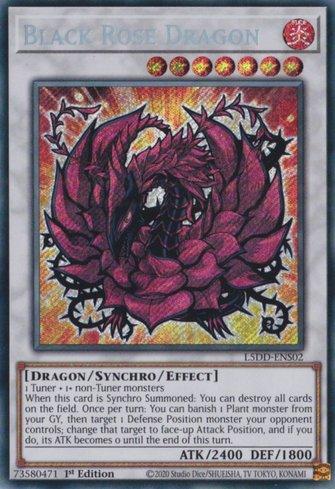 わさび　 ブラック・ローズ・ドラゴン　ホロ Dragão da Rosa Negra / Black Rose Dragon (#L5DD-ENS02) | PK CENTER TCG