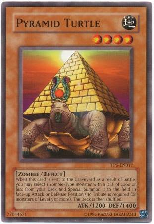 Tartaruga Pirâmide / Pyramid Turtle (#SD2-EN005 )
