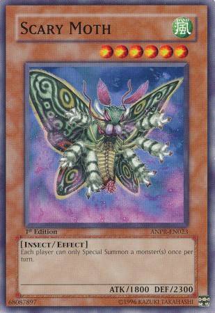 Scary Moth (#ANPR-EN023)