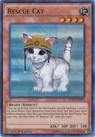 Gato de Socorro / Rescue Cat (#MGED-EN006)
