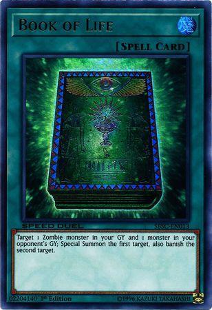 Busca | Ninja Cards