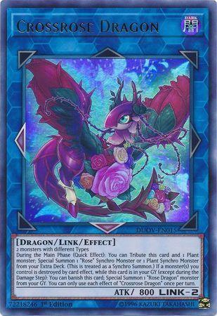 Dragão da Rosa Mestiço / Crossrose Dragon (#DUOV-EN015)