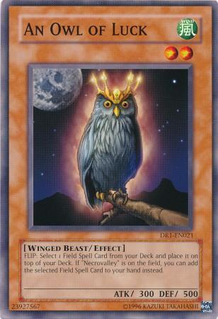 Uma Coruja de Sorte / An Owl of Luck (#DR1-EN021)