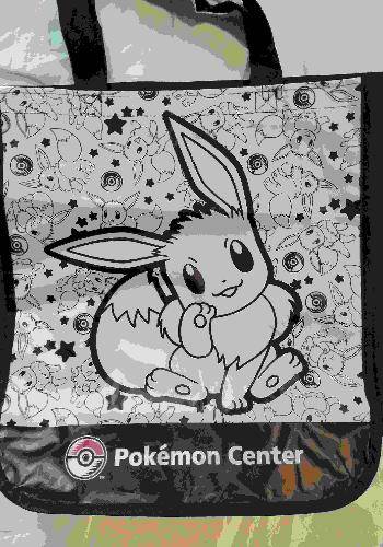 Eevee Pokemon, Loja UsaArtes