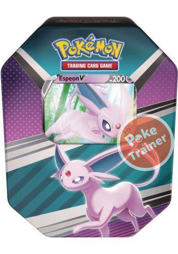 Pokémon Box Treinador Avançado Escarlate e Violeta Koraidon - Copag  260-41110 : : Brinquedos e Jogos