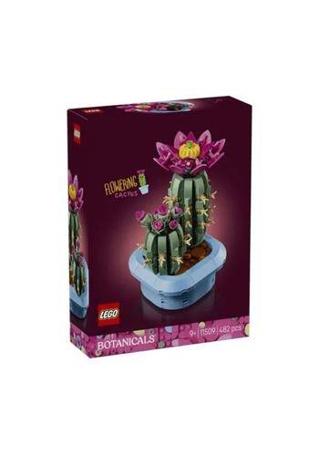 Botanicals Cacto Florido | PK CENTER TCG