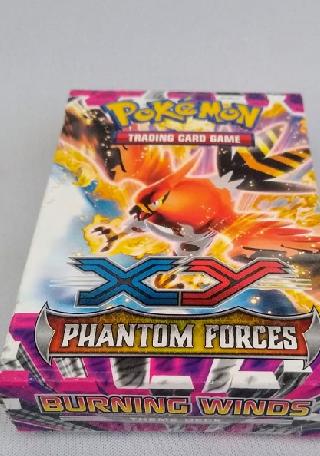 Pokemon TCG - XY Phantom Forces Theme Deck - Burning Winds 