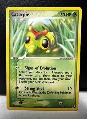 【本物保証】 Leilões de POKÉMON TCG | LigaPokemon 標本用品