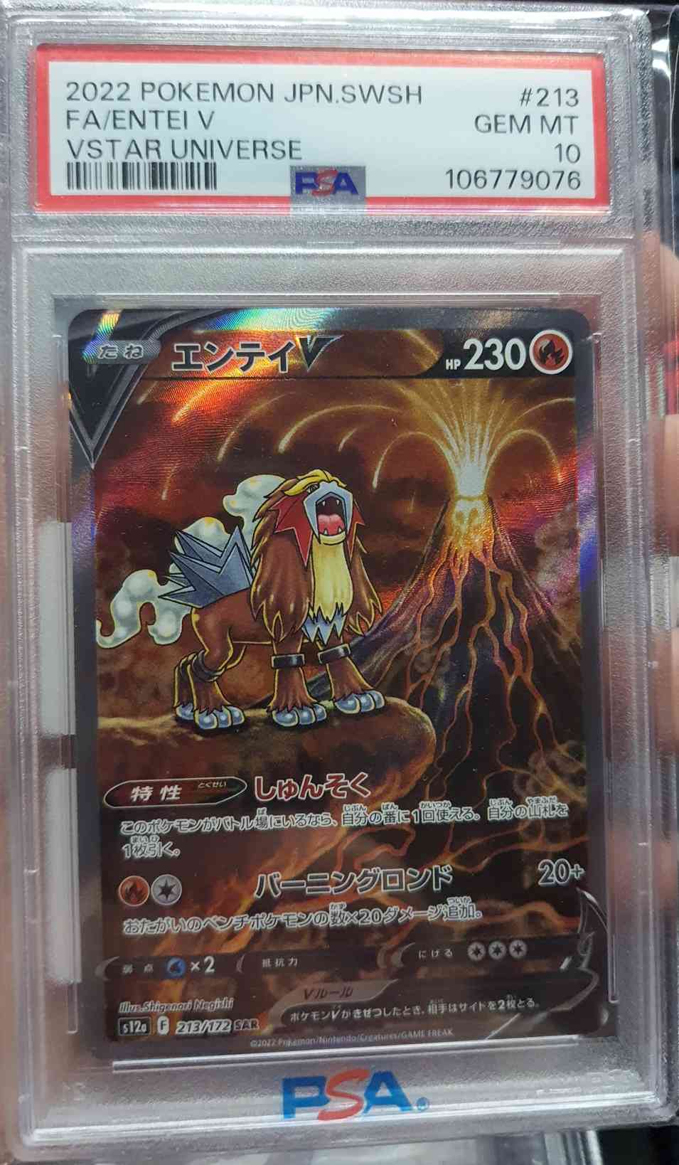 Entei-V (213/172) PSA 10 Gem Mint | Leilão de Guilherme_GM